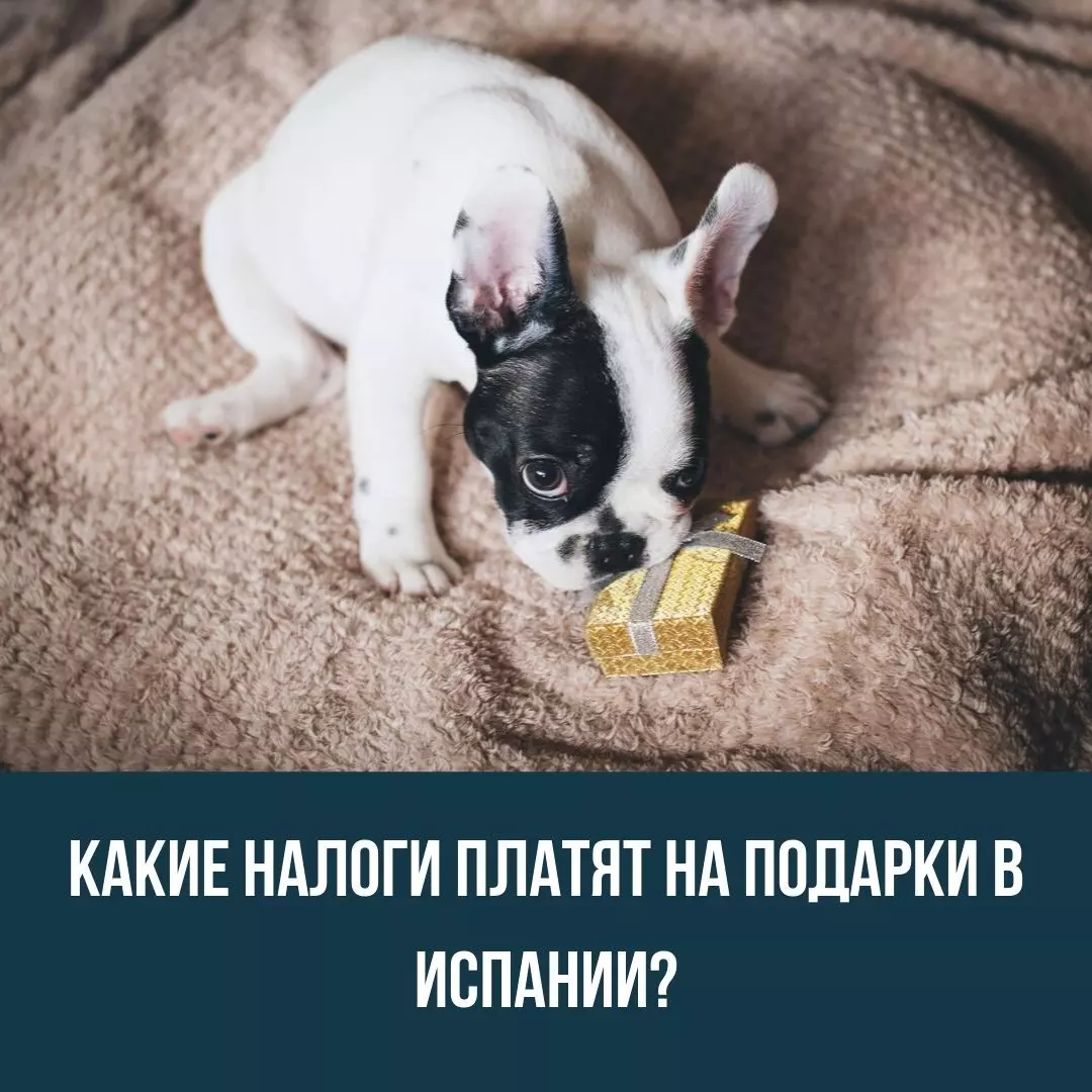 Какие налоги платят на подарки в Испании?