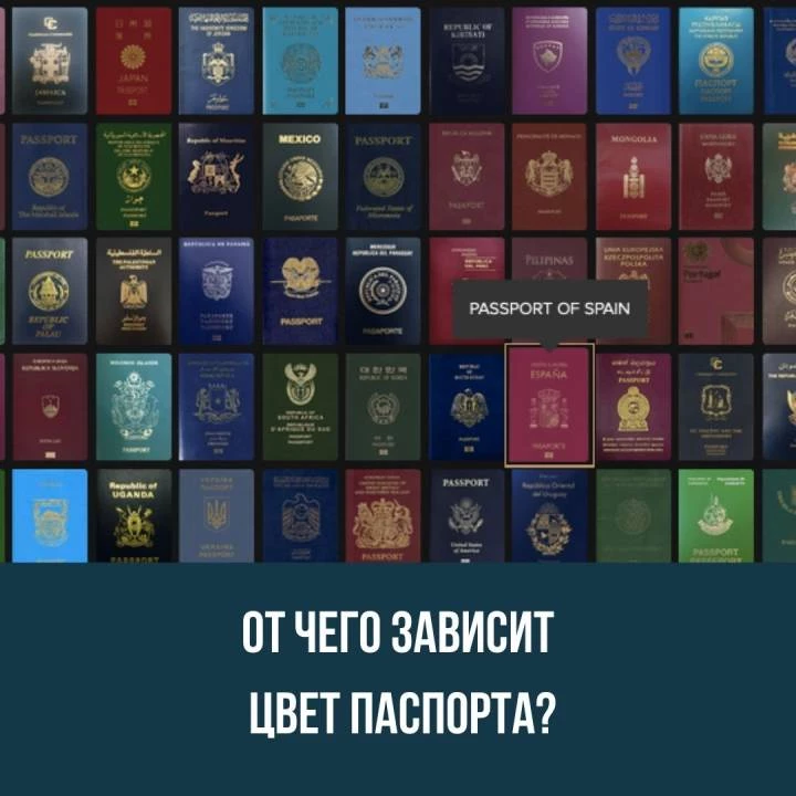 От чего зависит цвет паспорта?